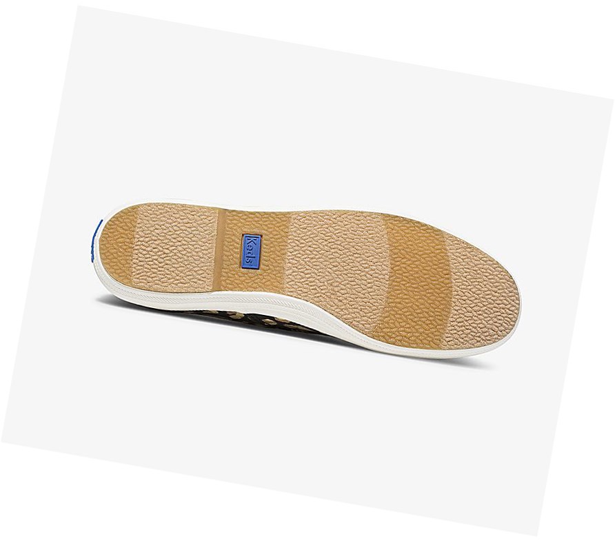 Keds Champion Animal Scarpe Stringate Donna Nere Leopardate | NLMTF-0684