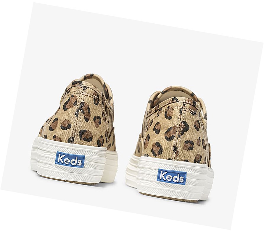 Keds Triple Leopard Scarpe Stringate Donna Marroni | RDFWK-4081