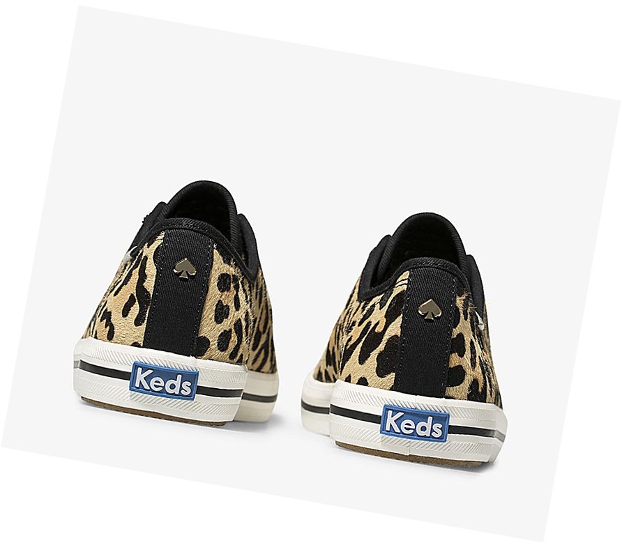Keds x kate spade new york Kickstart Calf Hair Scarpe Stringate Donna Leopardate Marroni | BPQKF-5301